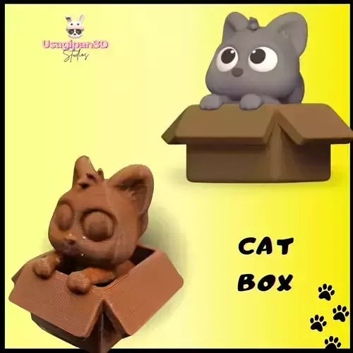 Cat Box