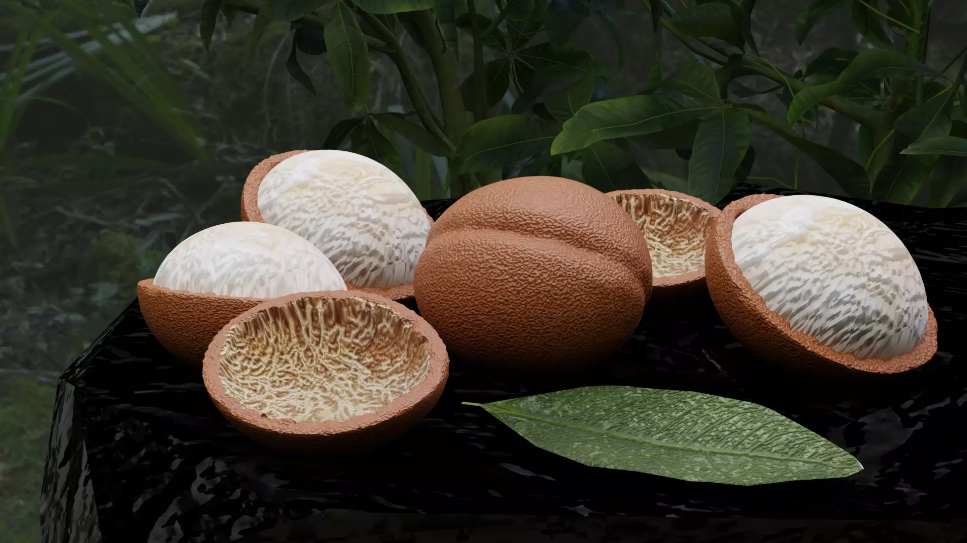 3D Argan Model - Blender Low-poly 3D model