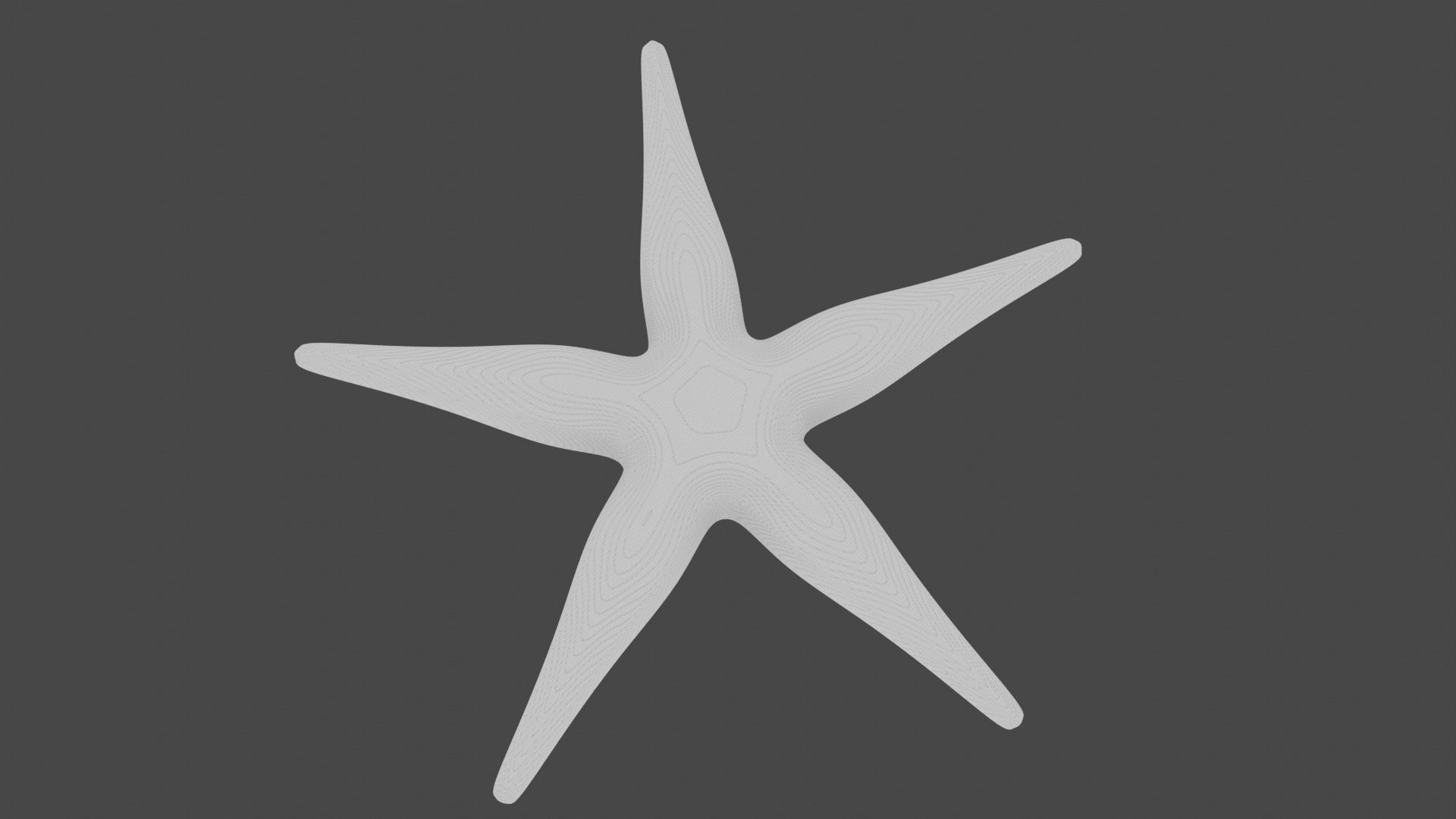 Starfish Sea star Asteroidea 3D model_6