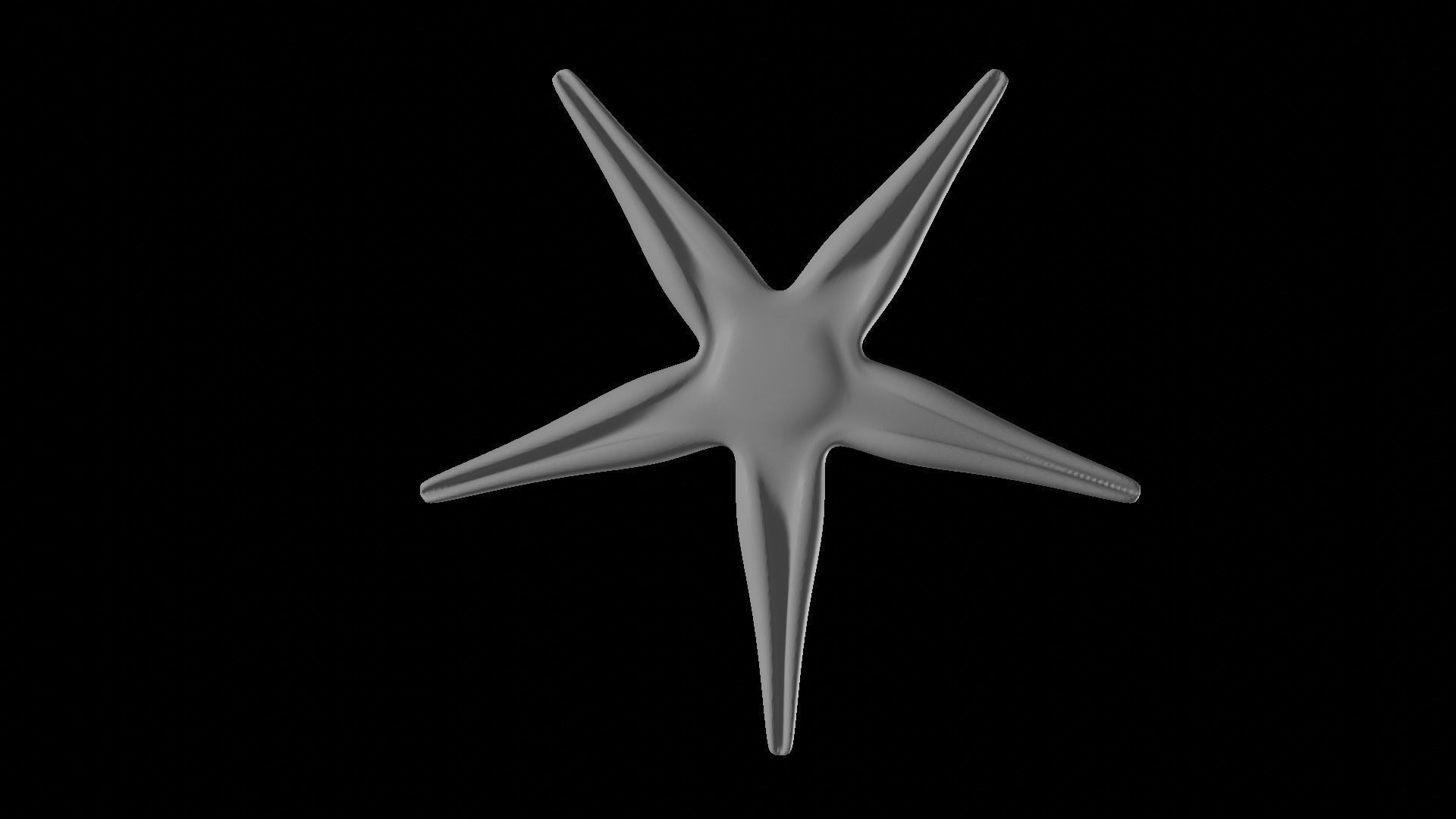 Starfish Sea star Asteroidea 3D model_5