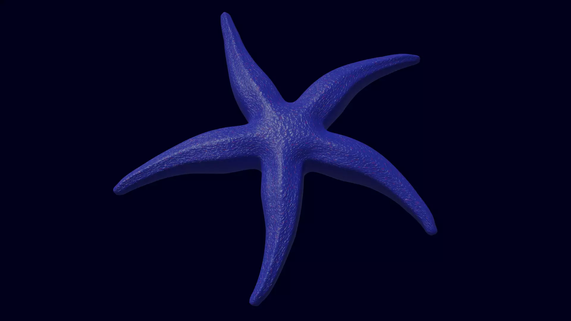 Starfish Sea star Asteroidea 3D model_0