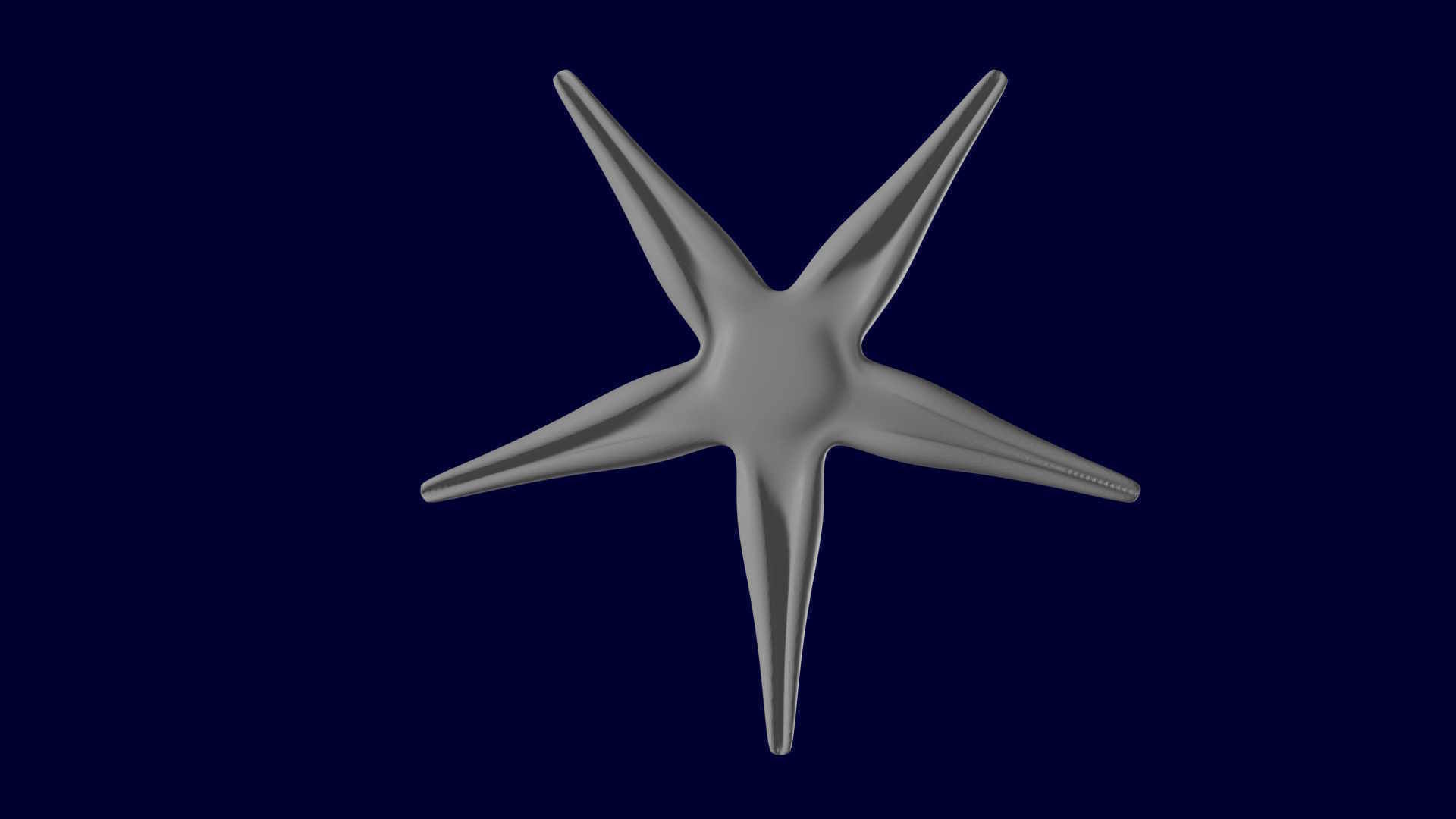 Starfish Sea star Asteroidea 3D model_4