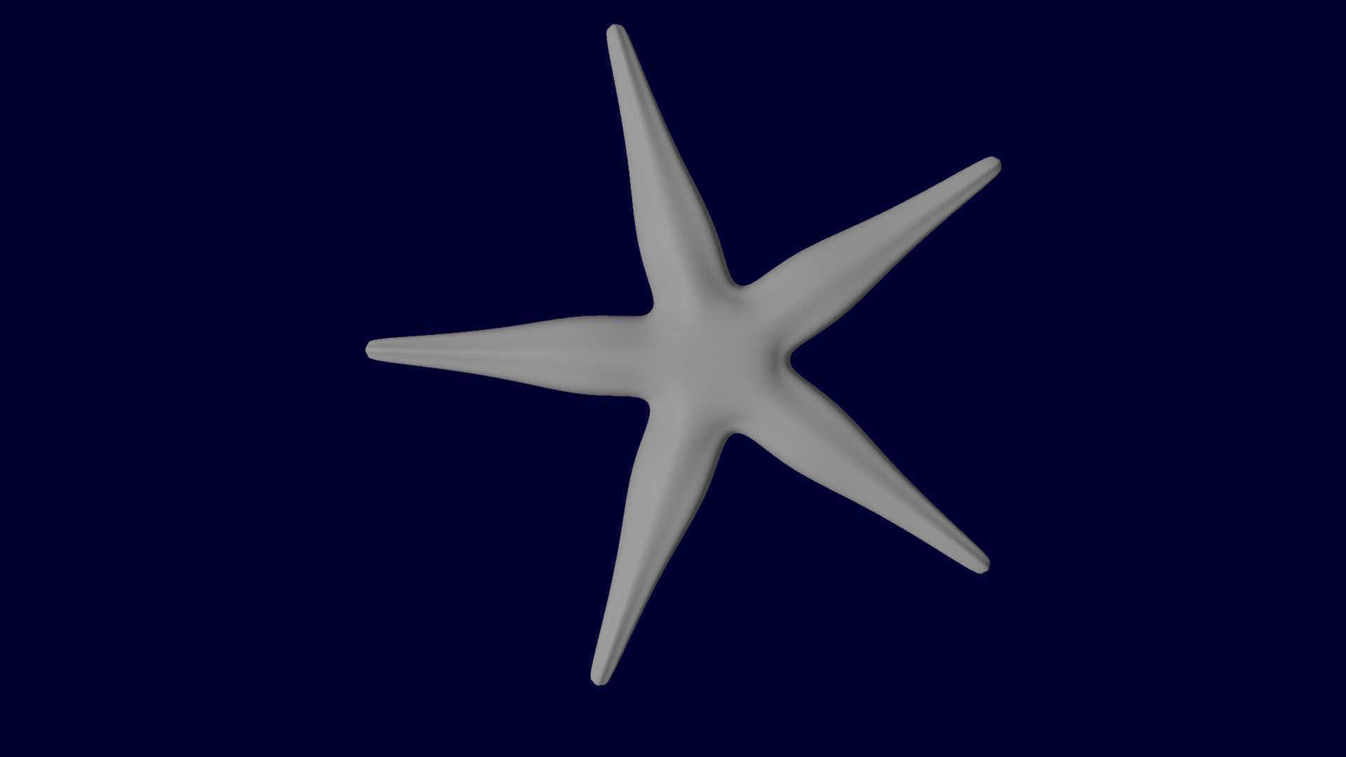 Starfish Sea star Asteroidea 3D model_3