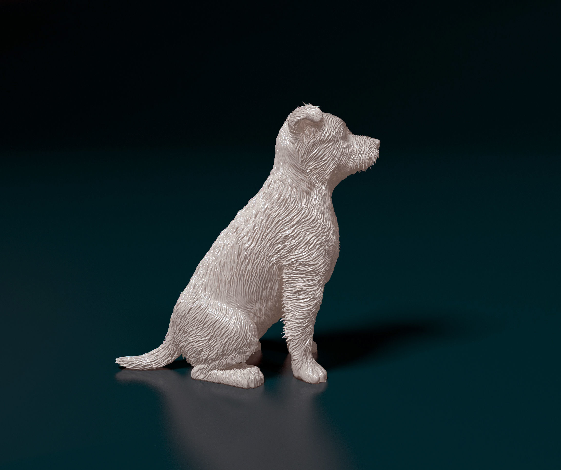 Jack Russell terrier 3D print model_1