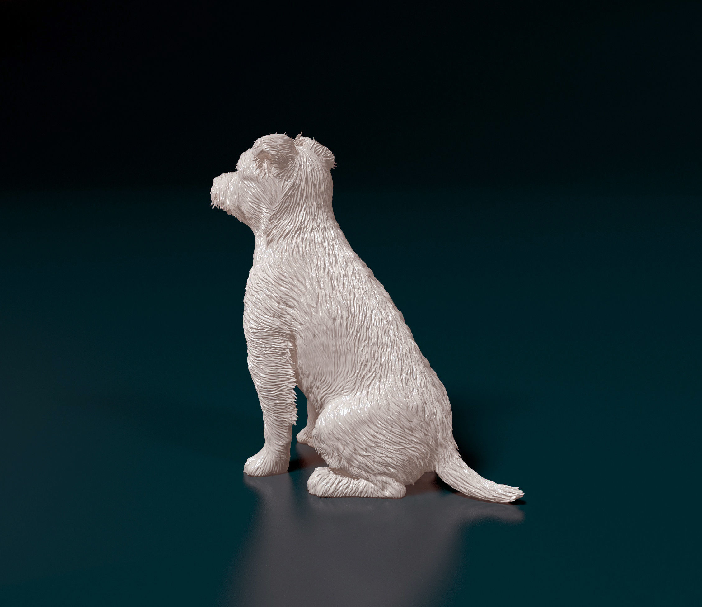 Jack Russell terrier 3D print model_2