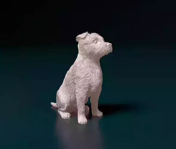 Jack Russell terrier 3D print model