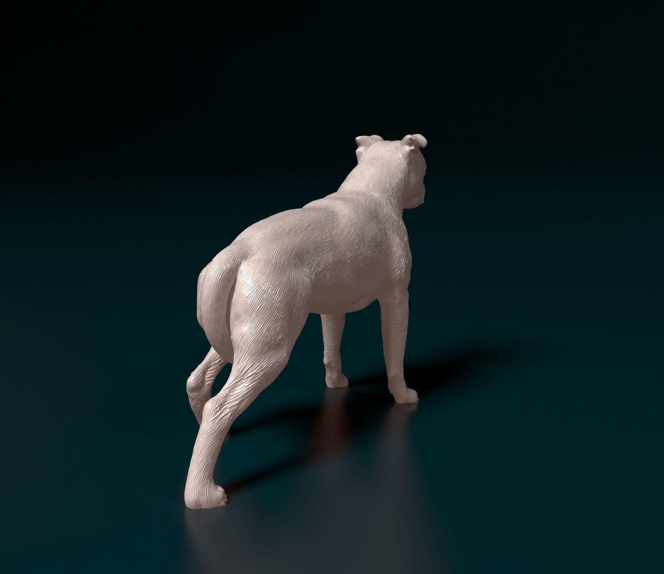 American Pitbull 012 3D print model_2