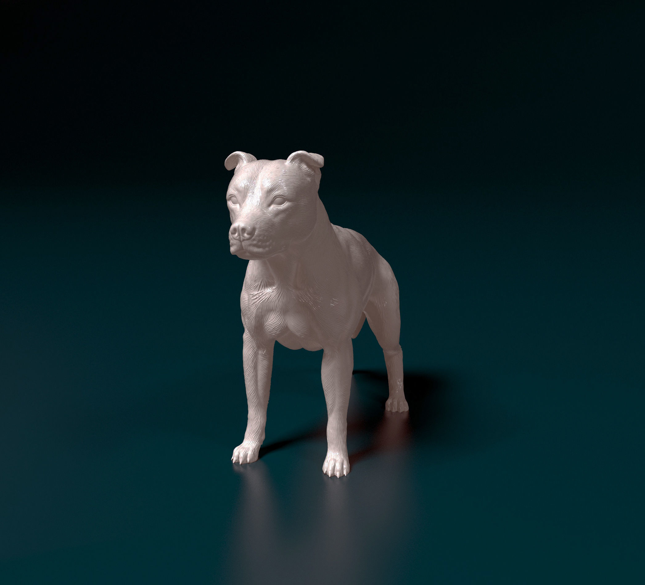 American Pitbull 012 3D print model_5