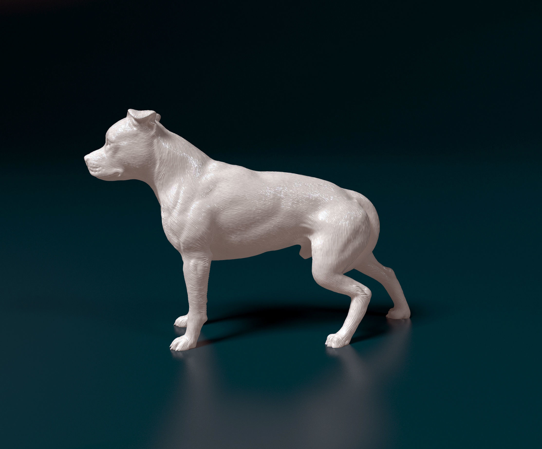 American Pitbull 012 3D print model_4