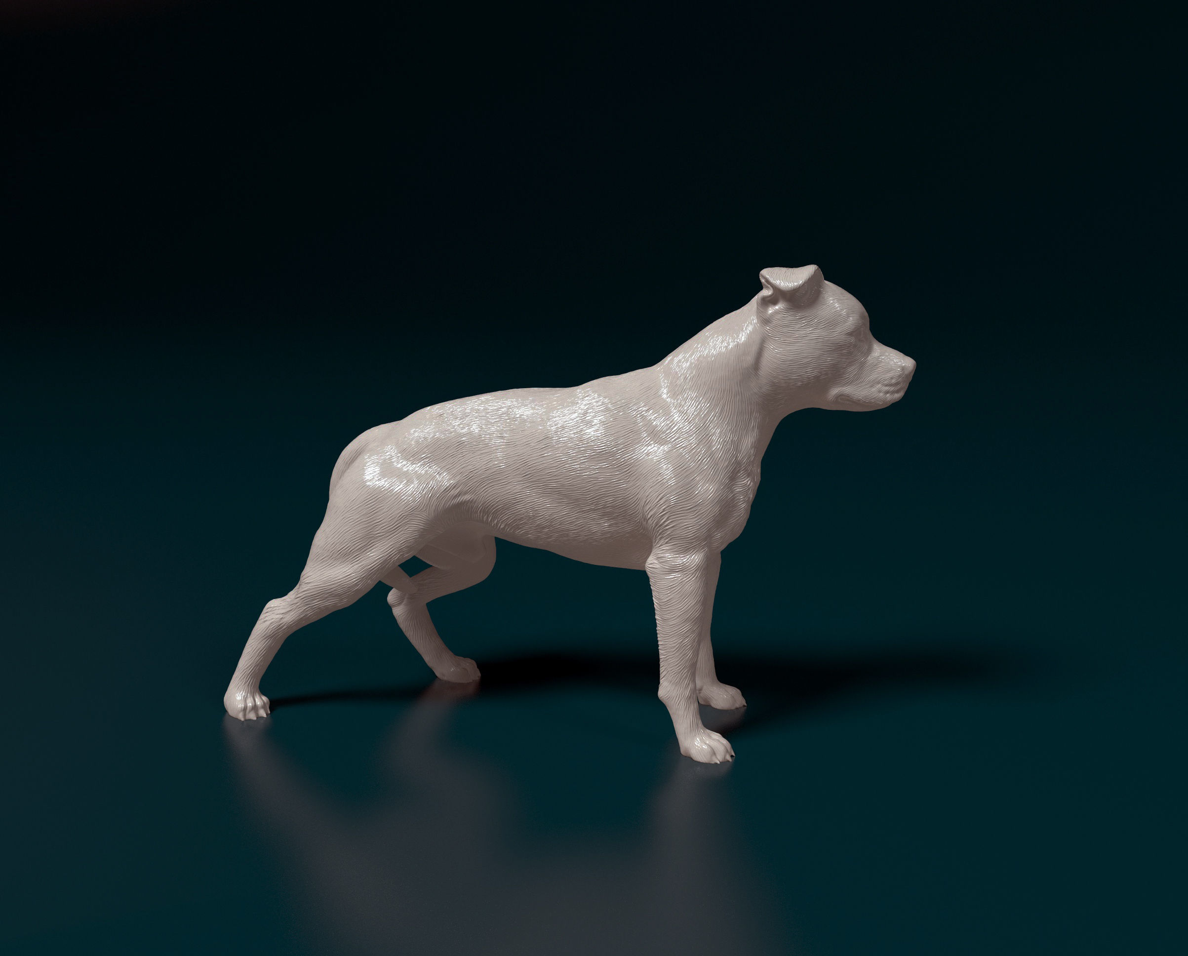 American Pitbull 012 3D print model_1