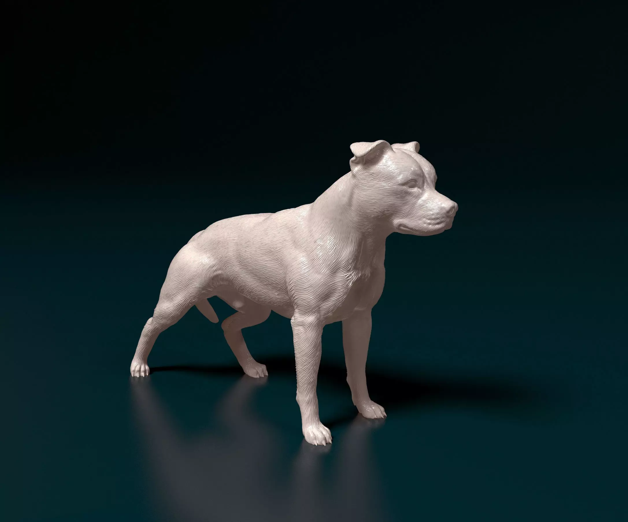 American Pitbull 012 3D print model_0