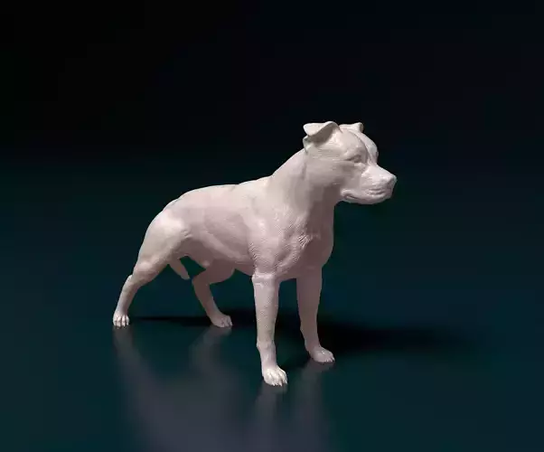American Pitbull 012 3D print model
