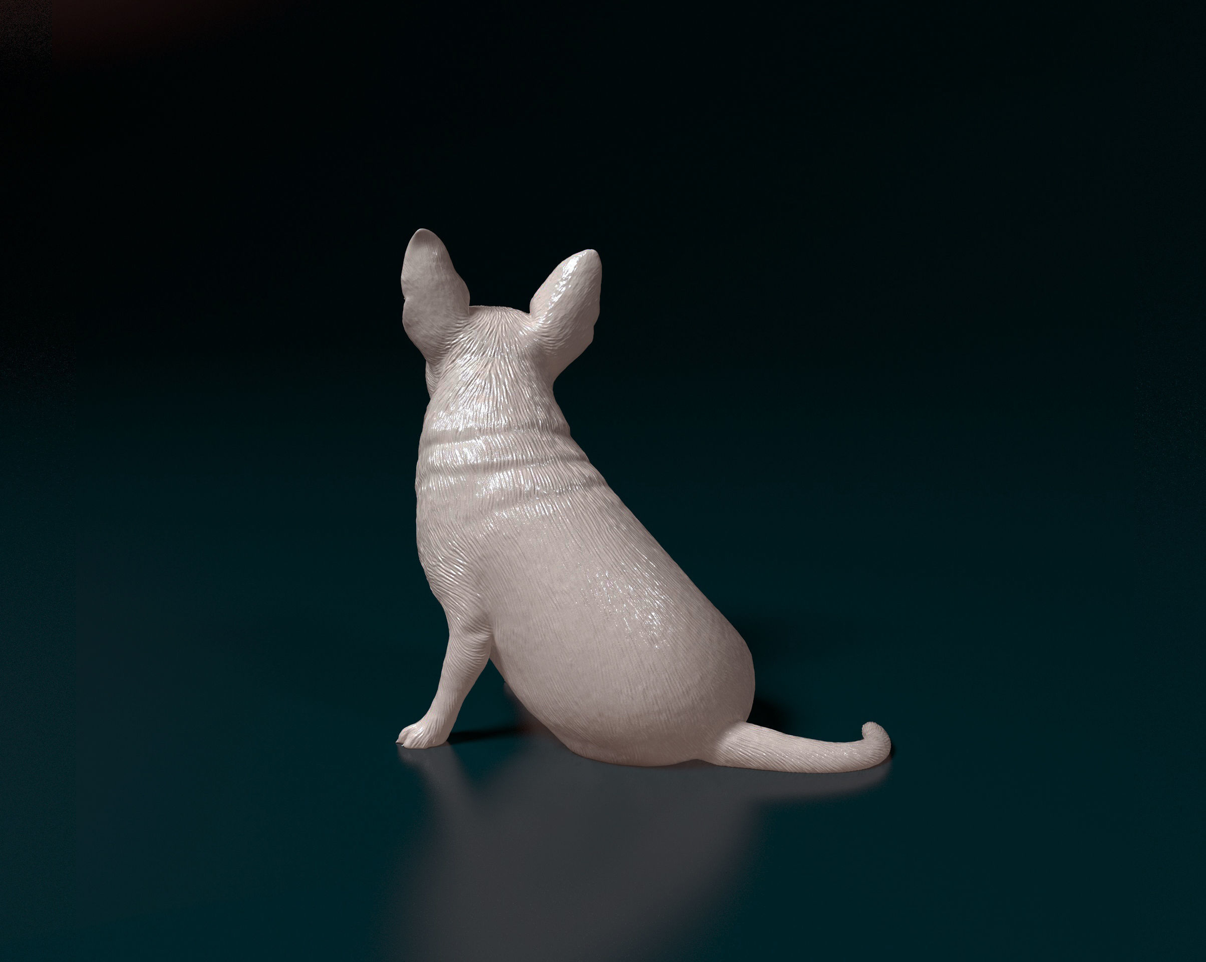 Chihuahua 09 3D print model_3