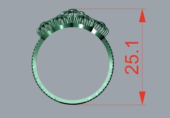rings 3D print model_2