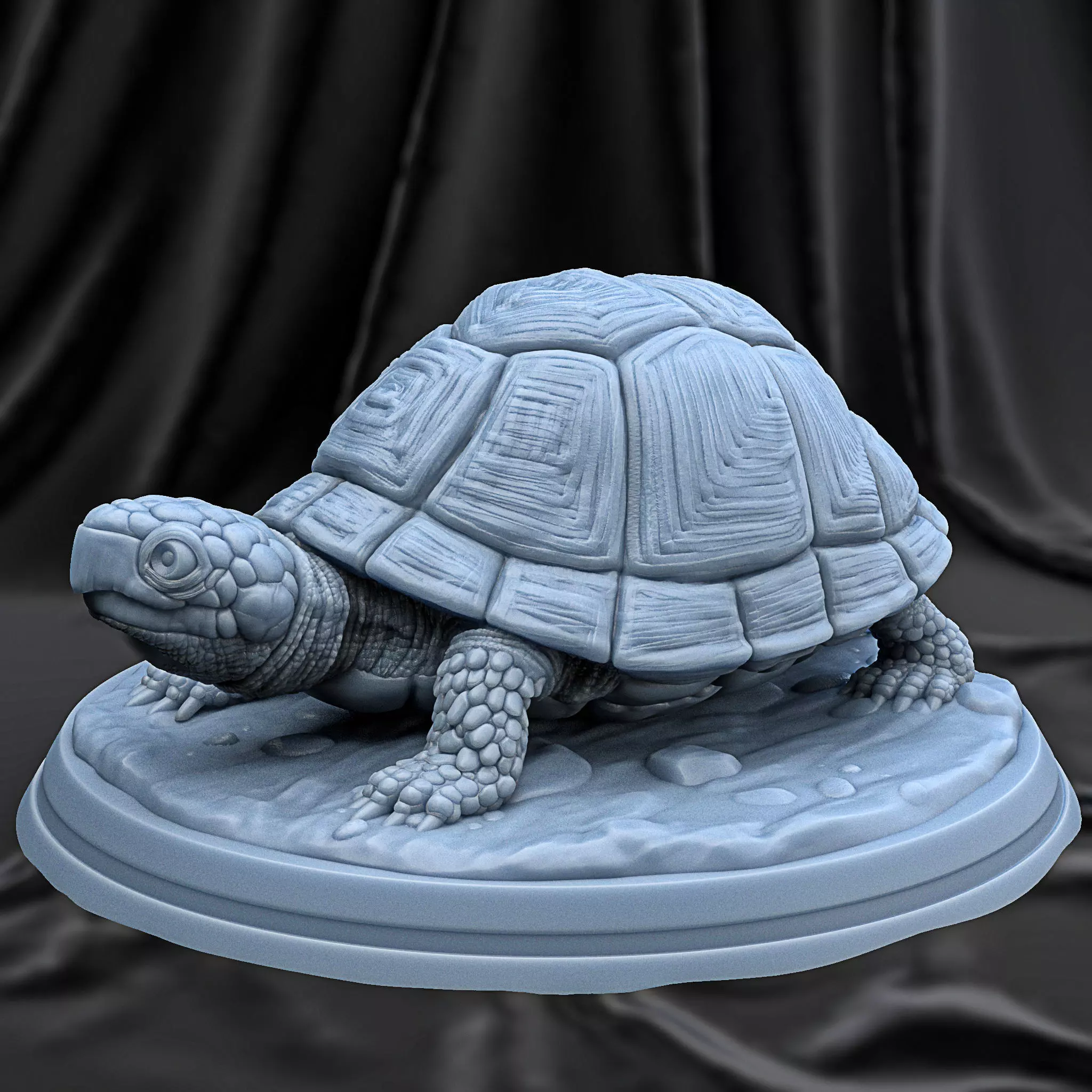 box turtle 3D print model