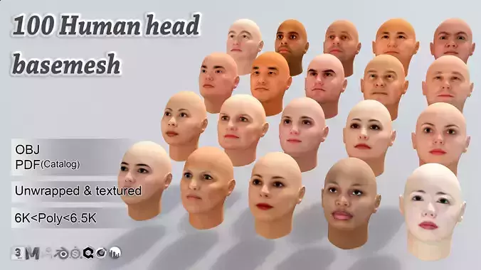 100 Human head basemesh Low-poly 3D model