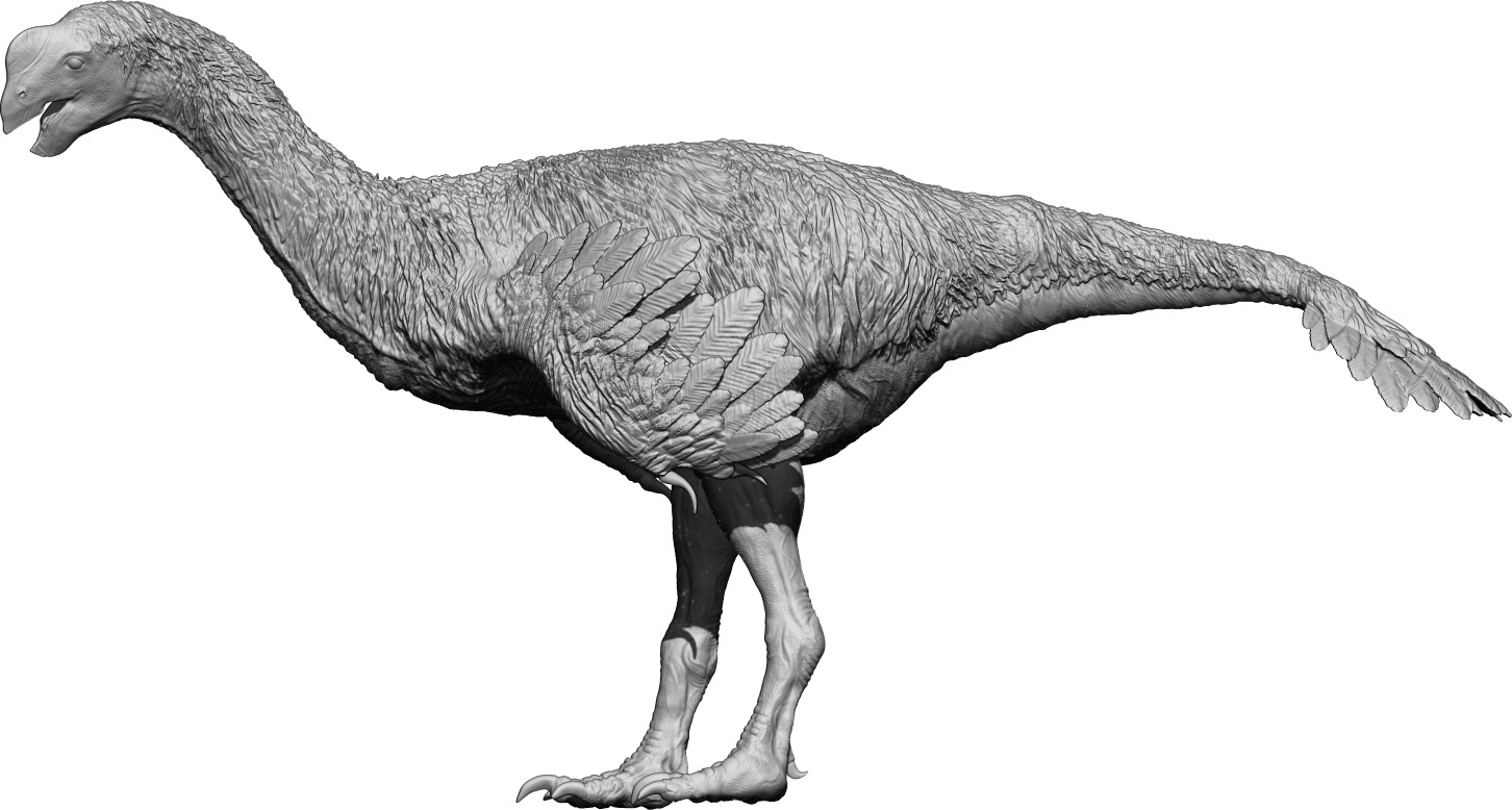 Gigantoraptor 3D print model_1