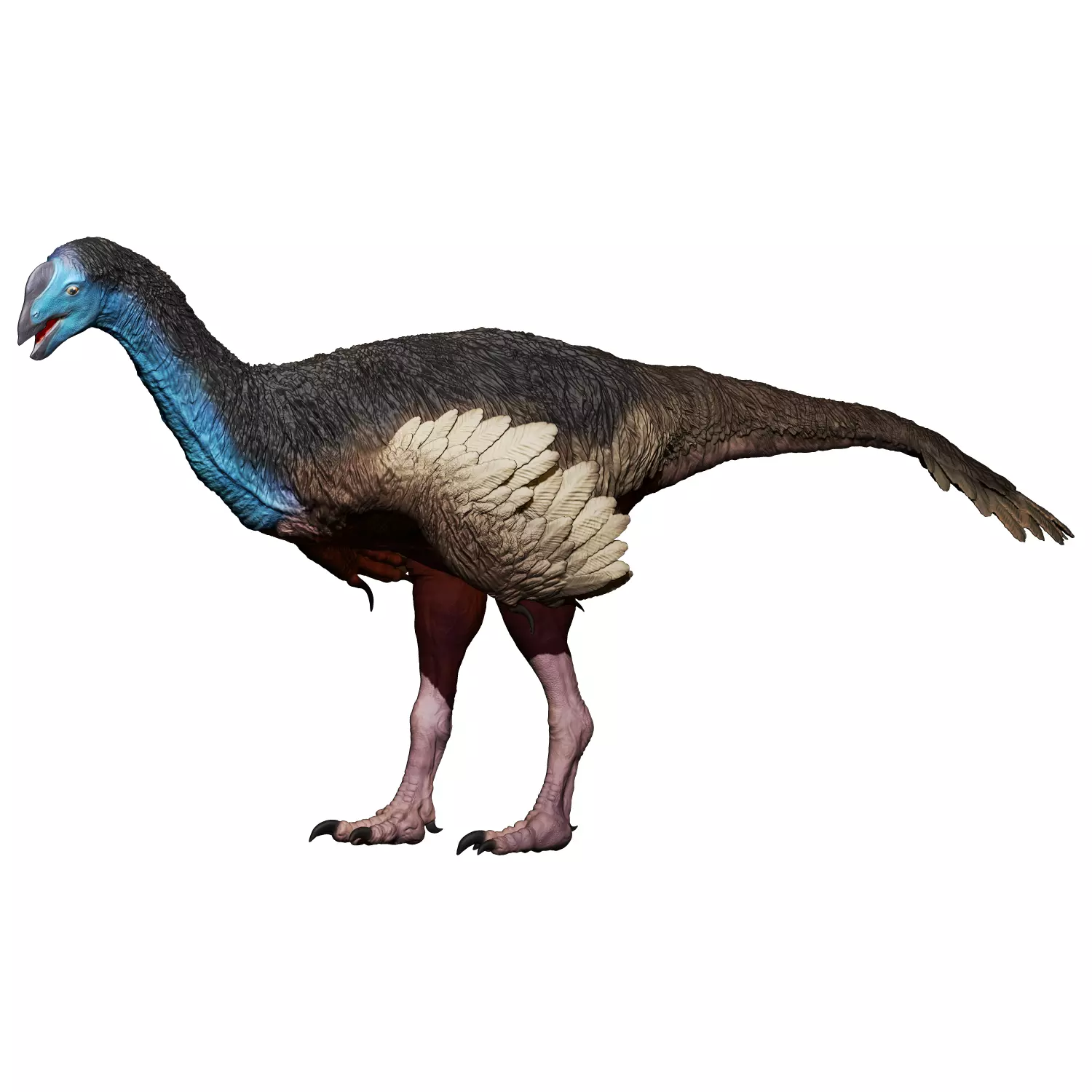 Gigantoraptor 3D print model_0