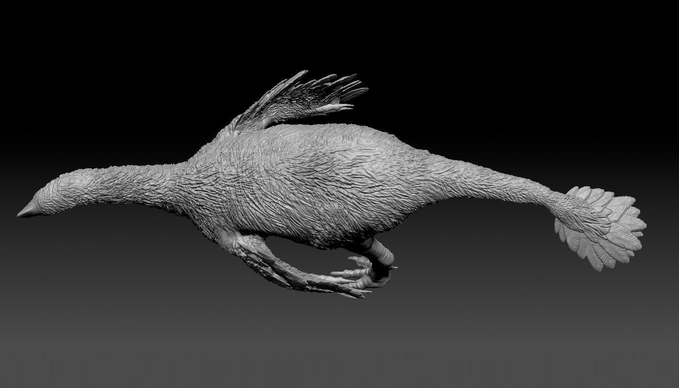 Gigantoraptor 3D print model_3