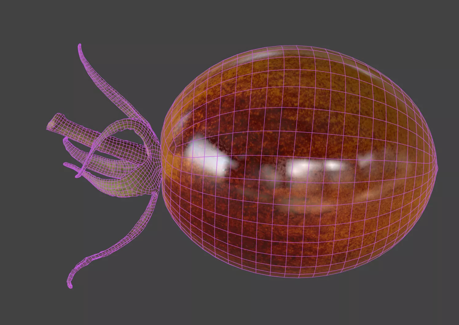 Tomato 3D model_6