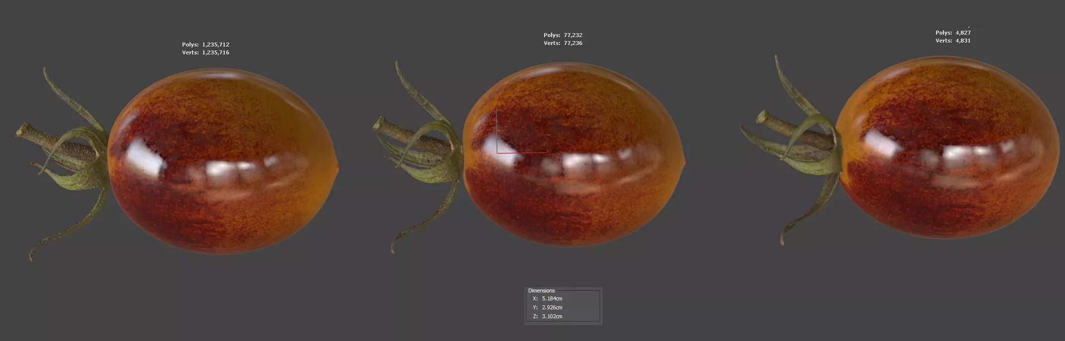 Tomato 3D model_5