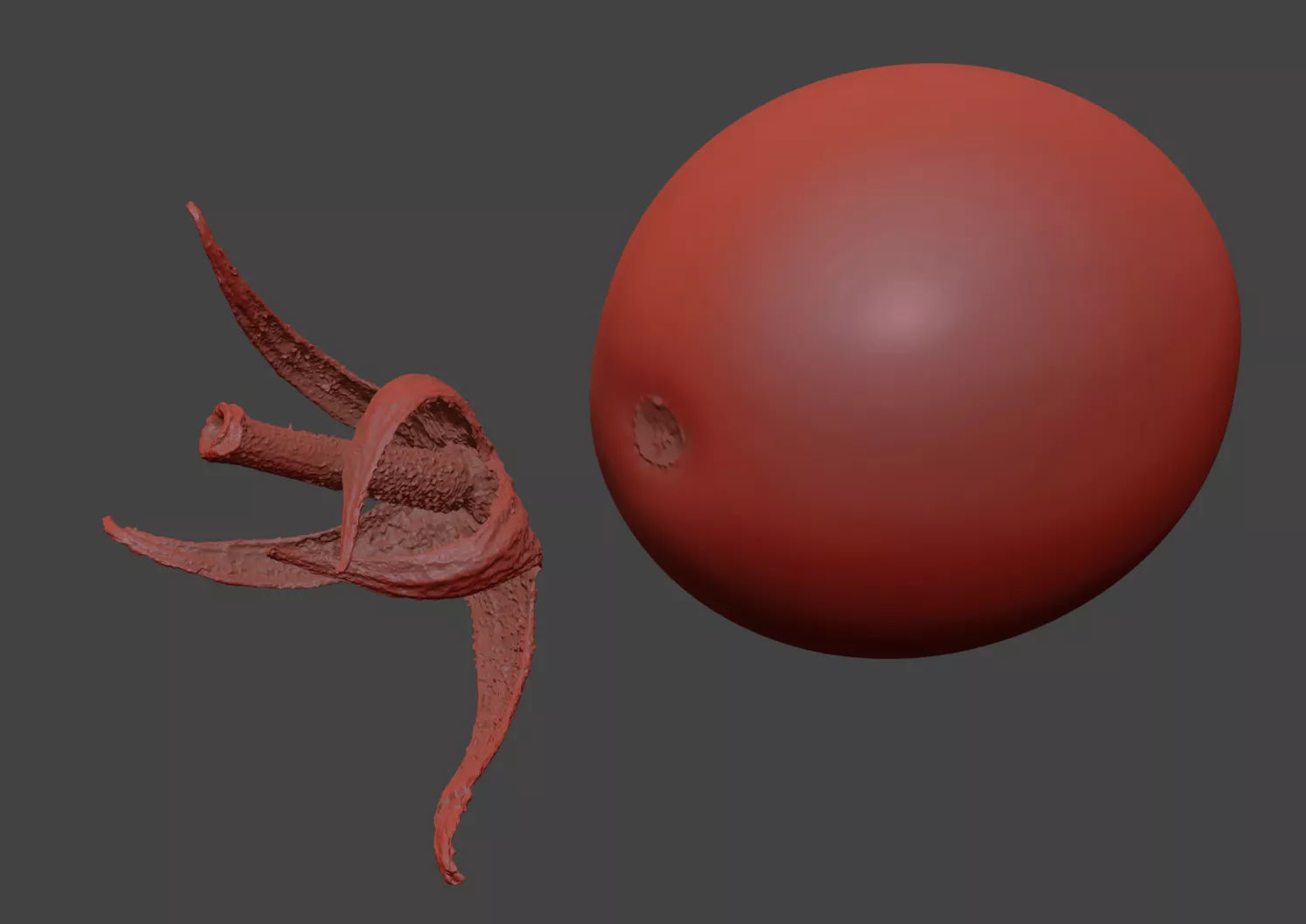 Tomato 3D model_7