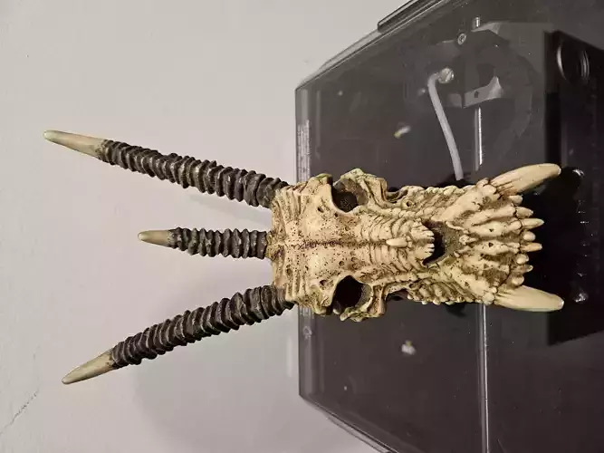 Dragon Skull