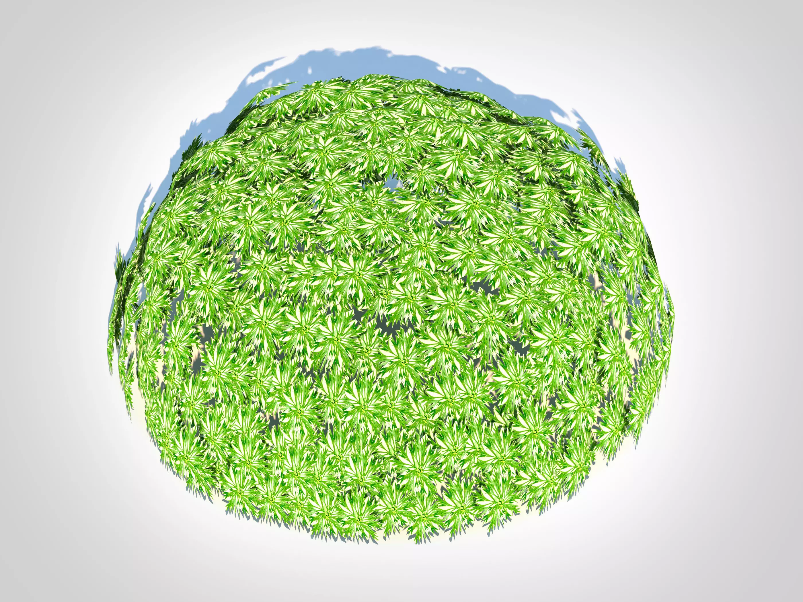 Plant Artemesia schmidtiana - Silvermound 3D model