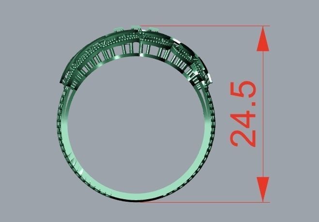 rings 3D print model_2