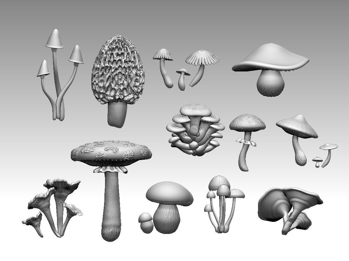 mushrooms 3D print model_28