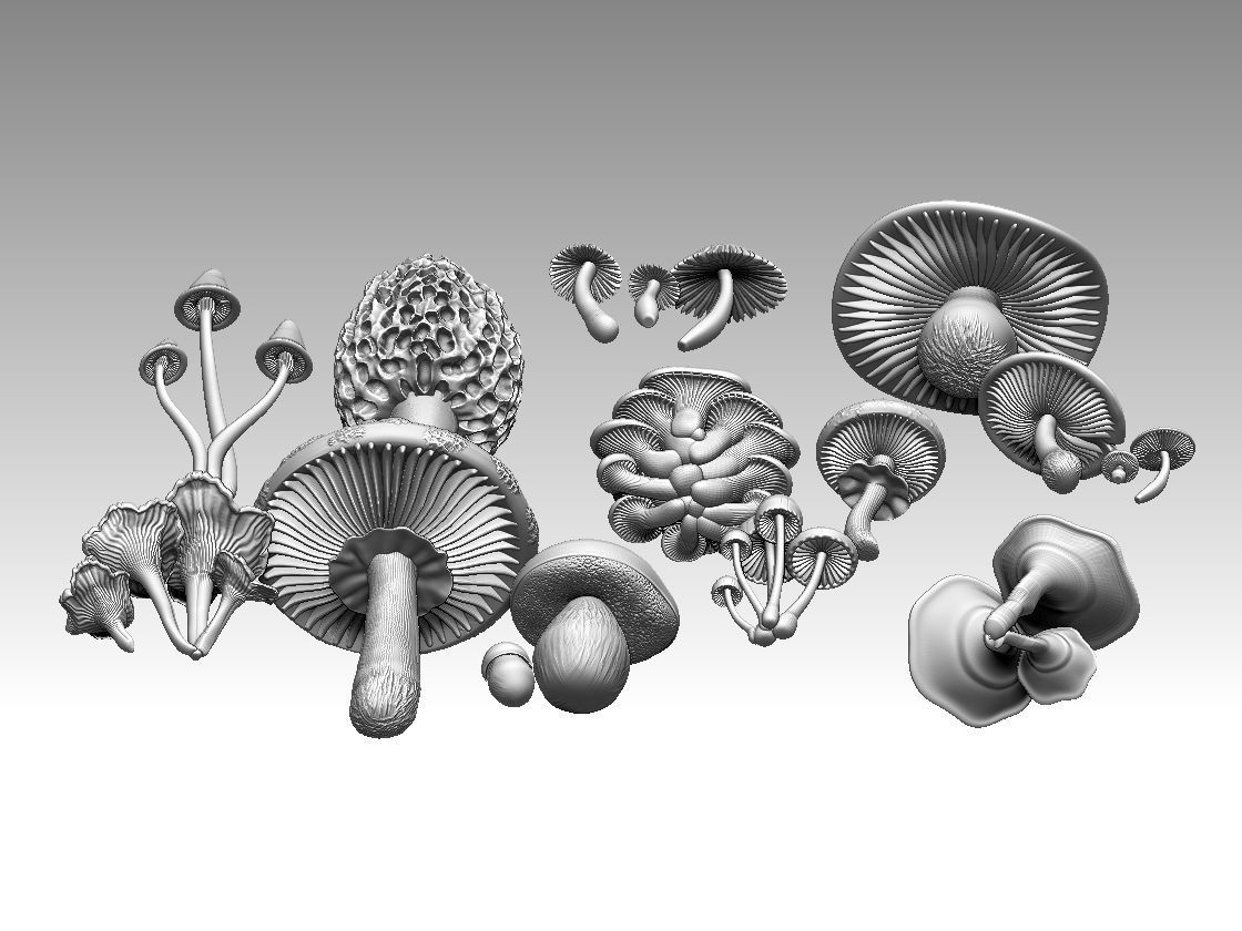 mushrooms 3D print model_14