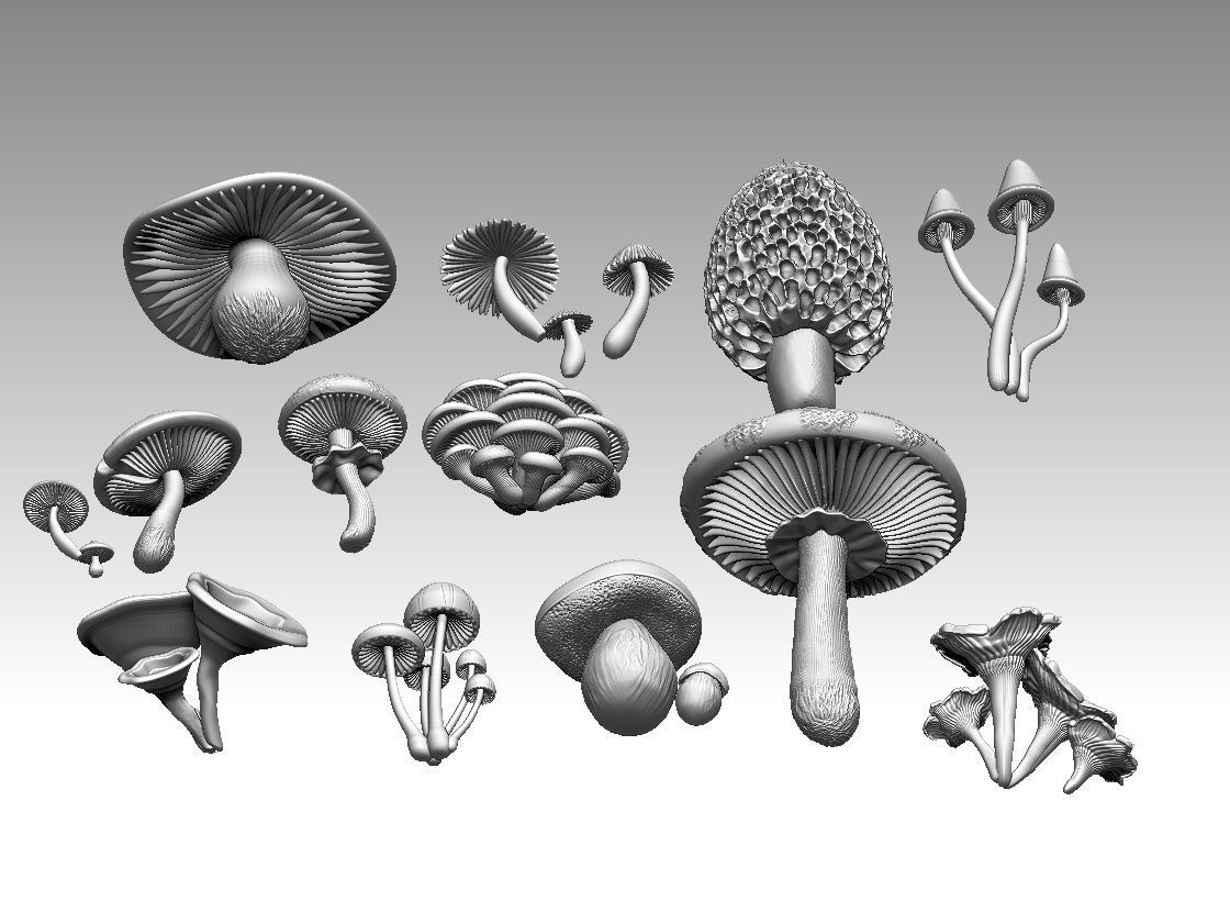 mushrooms 3D print model_17