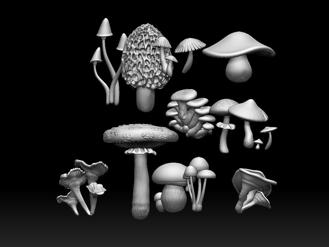 mushrooms 3D print model_22