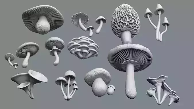 mushrooms 3D print model