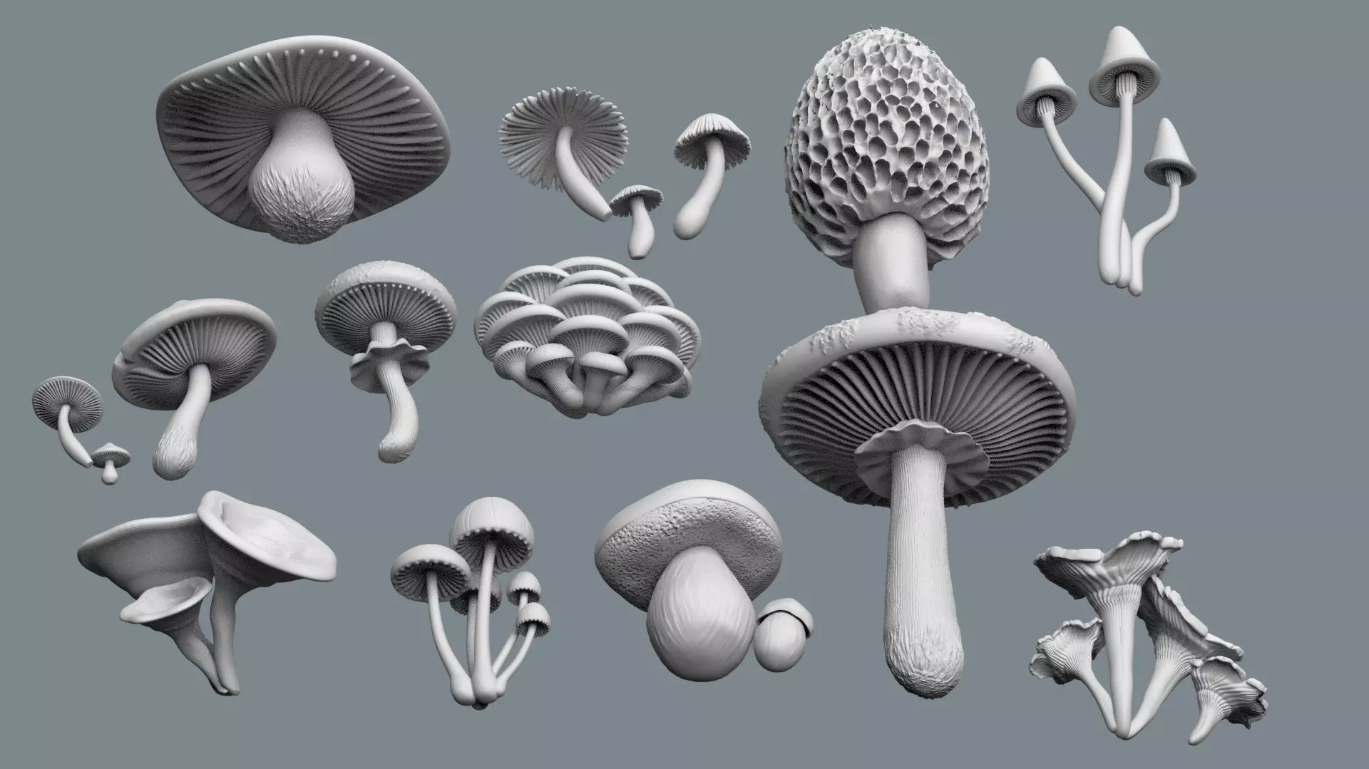 mushrooms 3D print model_0