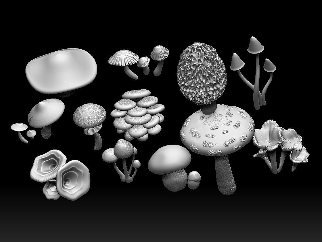mushrooms 3D print model_5