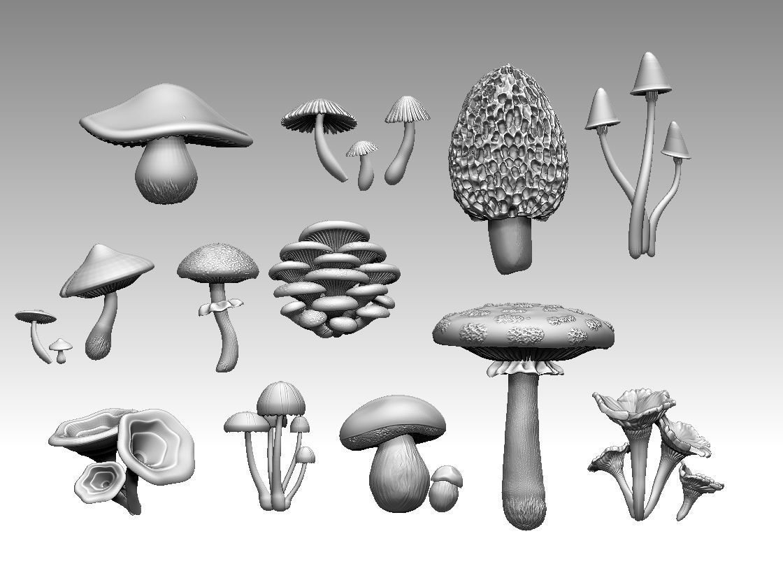 mushrooms 3D print model_19