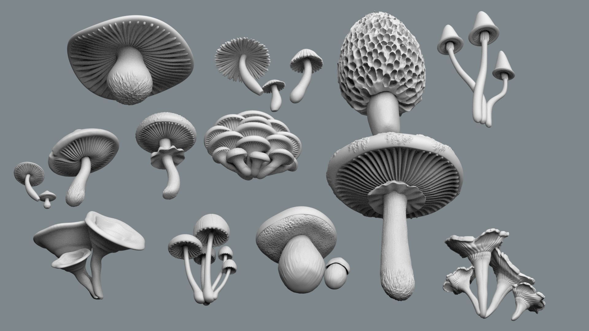 mushrooms 3D print model_33