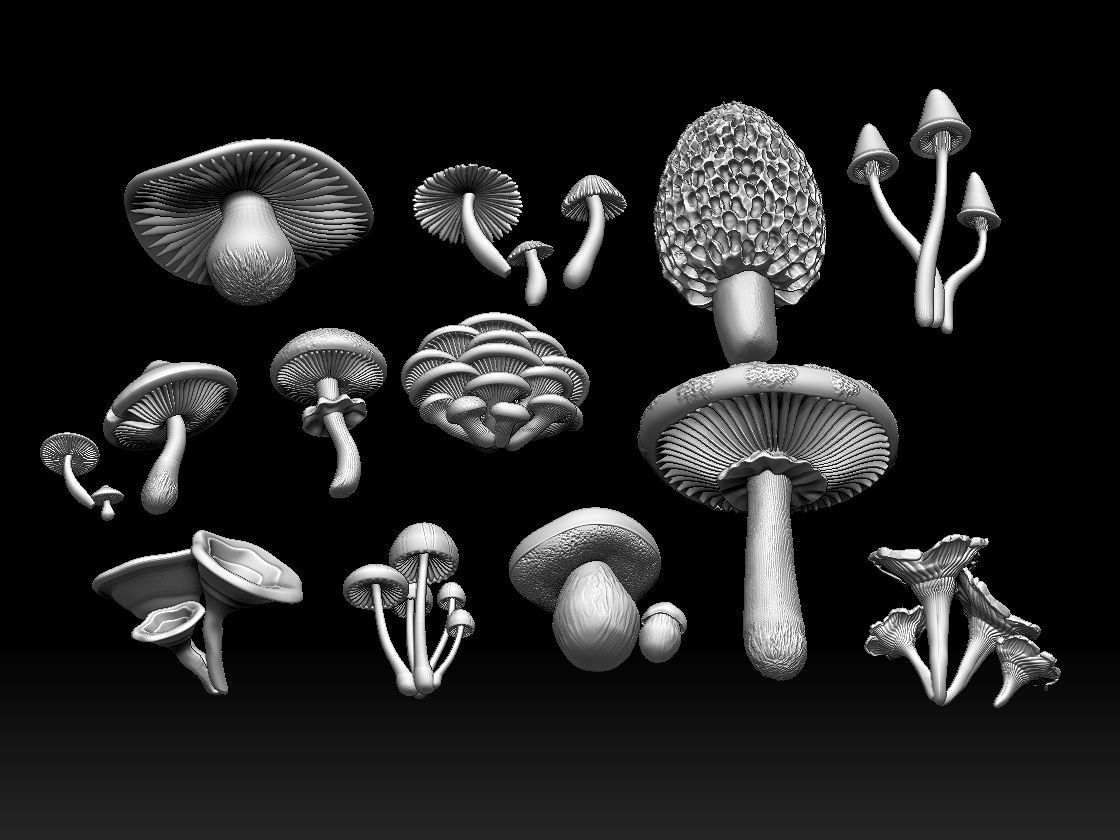 mushrooms 3D print model_25