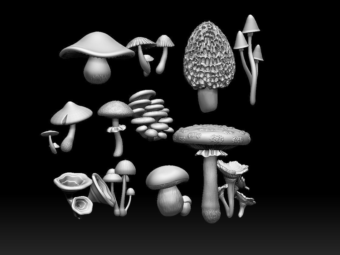mushrooms 3D print model_15