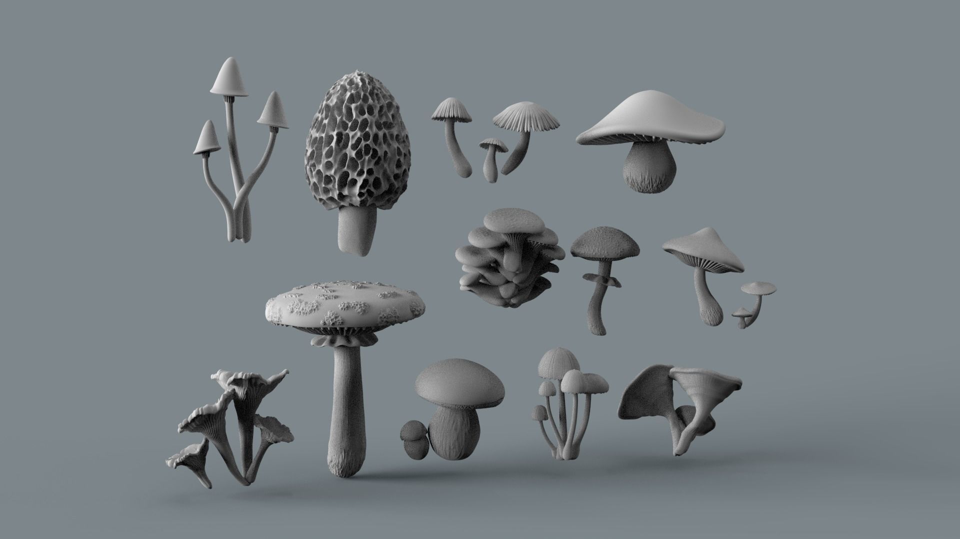 mushrooms 3D print model_31