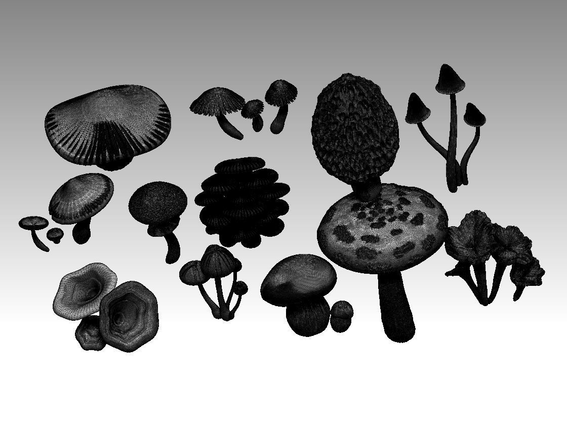 mushrooms 3D print model_8