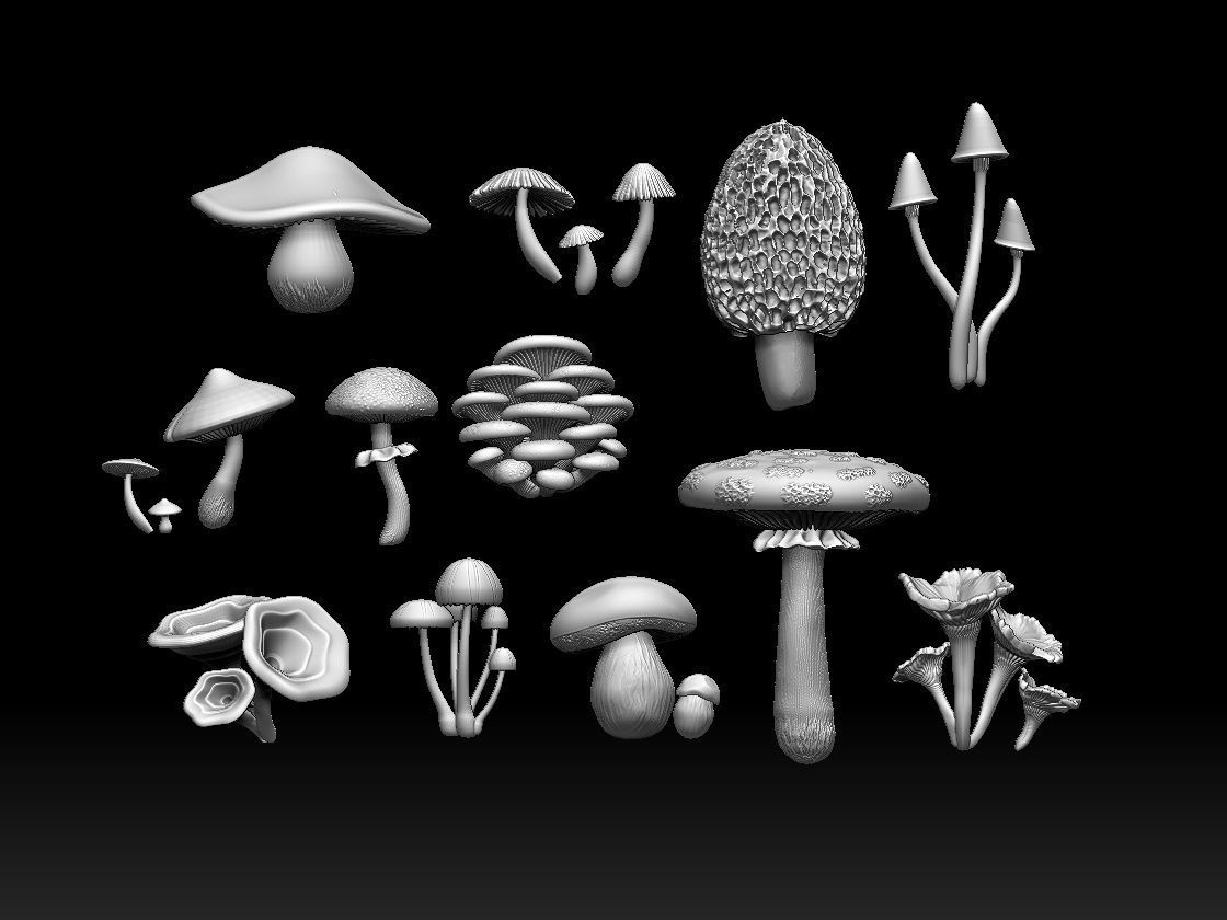 mushrooms 3D print model_9