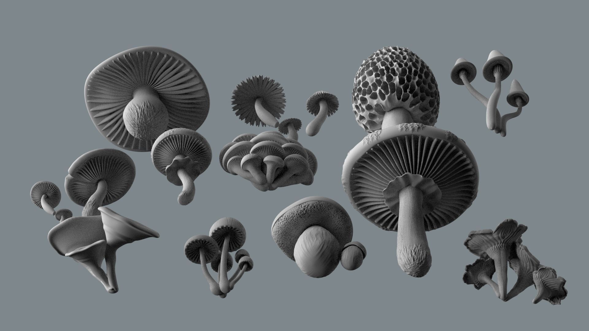 mushrooms 3D print model_3