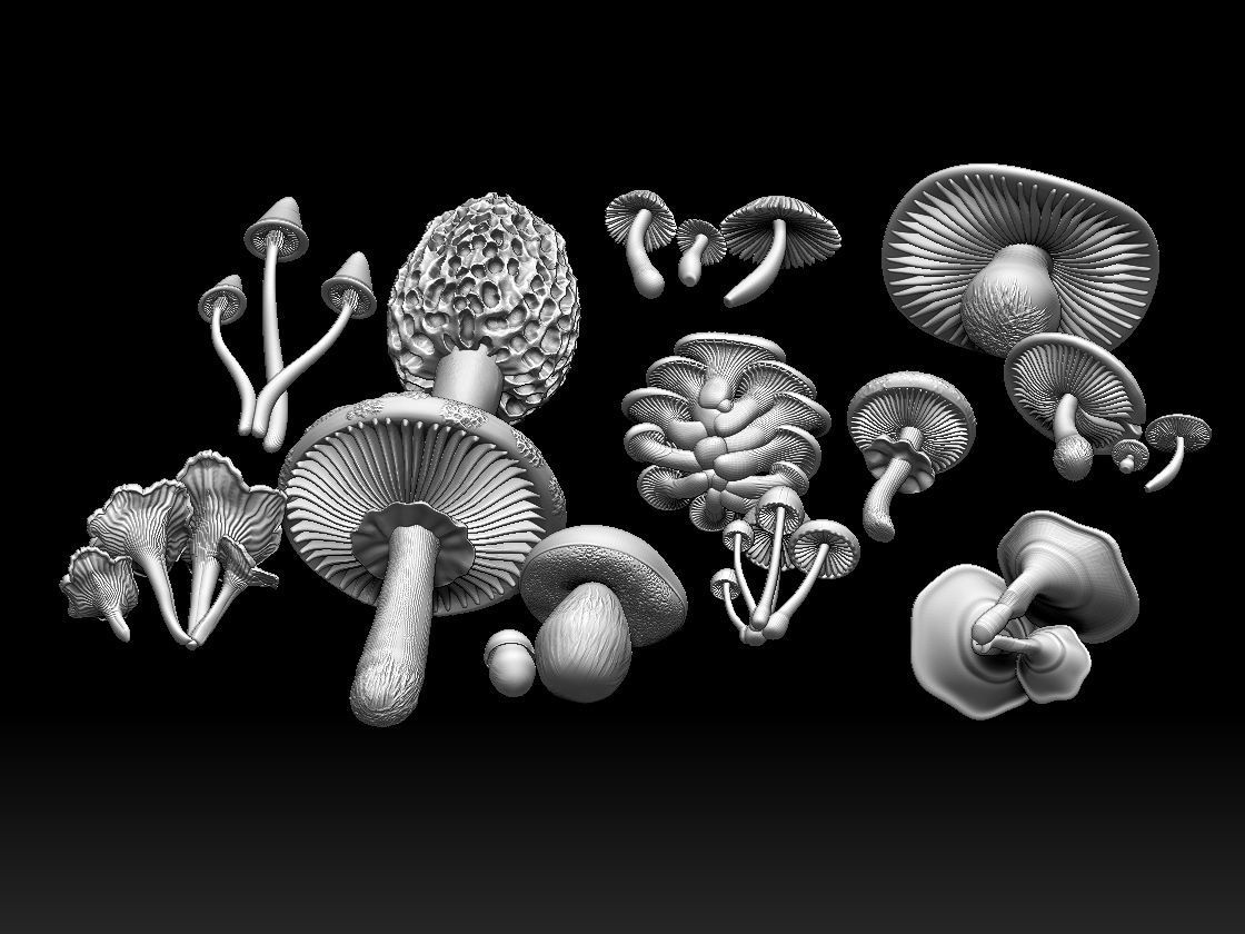 mushrooms 3D print model_11