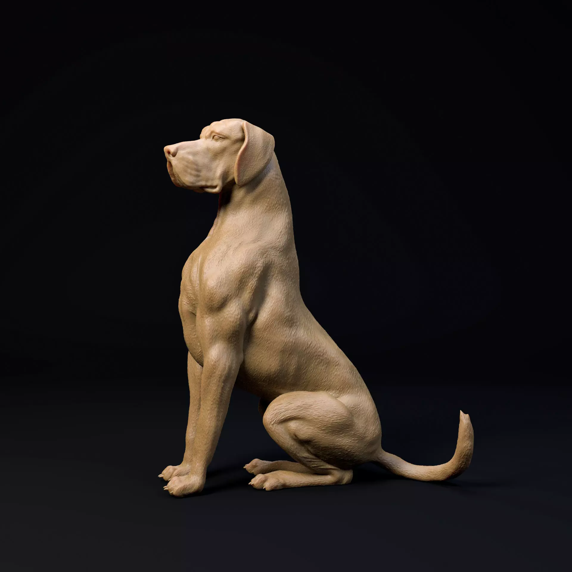 Great Dane sitting dog - pre supported 3D print model