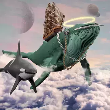 NFT Complete Collection Whales up to 7000nfts