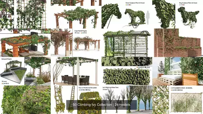 50 Climbing Ivy Collection