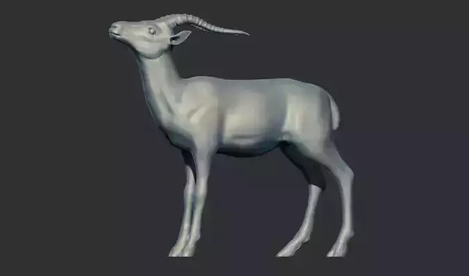 Thomsons Gazelle  Antelope 3D Print model