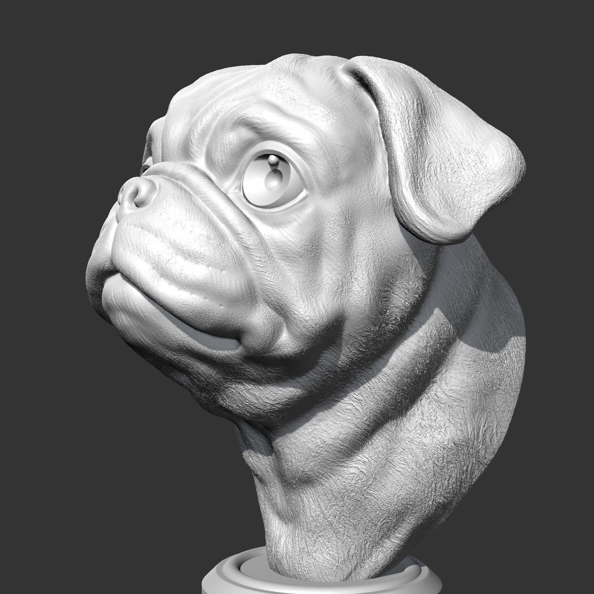 Pug Head AM36 3D print model 3D print model_4